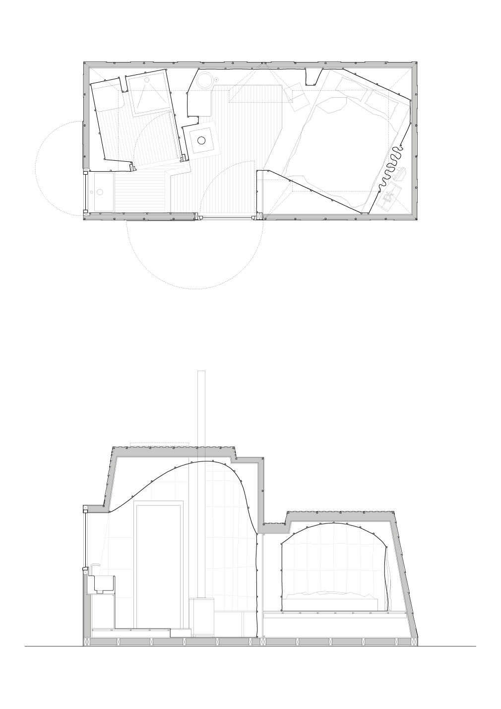 Drawn orthographic plan and section of the proposal.